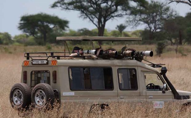Safari por Tanzania