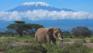 Recomendaciones y consejos para viajar a Tanzania