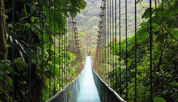 Puente colgante en la selva de Costa Rica