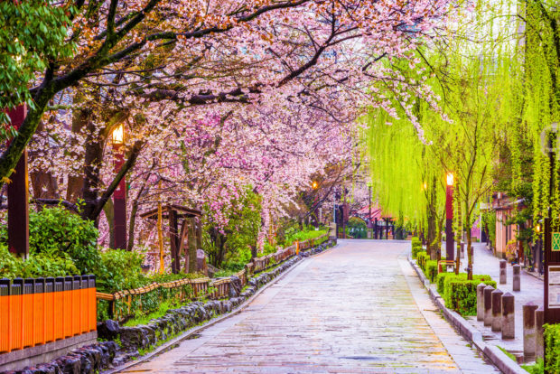 Viaje Semana Santa: Japón